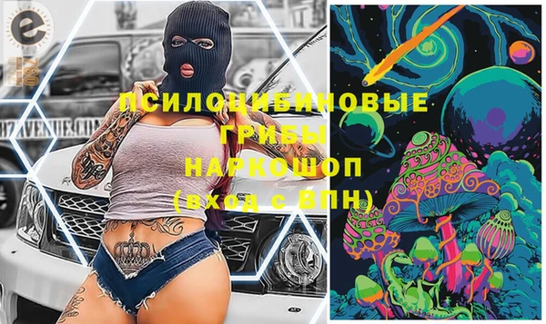 прущие крисы Абинск