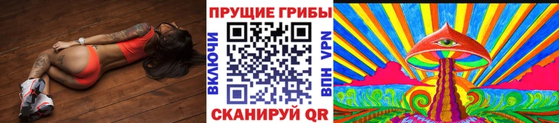 Псилоцибиновые грибы MAGIC MUSHROOMS  закладка  Западная Двина 